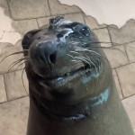 stab0maticz's Avatar