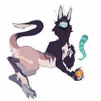 MYO-CCCAT-677: Finnley