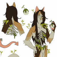 Thumbnail for OFFICIAL-CCCAT-1391: Skinny