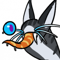 Thumbnail for MYO-CCCAT-597