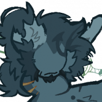 MYO-CCCAT-1028: Don’t Touch Beached Sharks