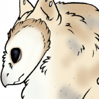 MYO-GRAVENT-089: Tally